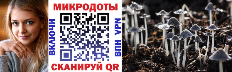 купить Новочебоксарск Галлюциногенные грибы MAGIC MUSHROOMS